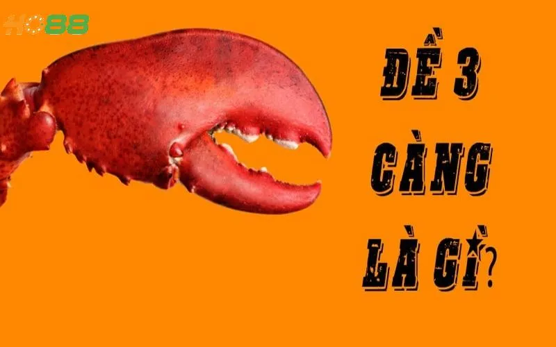 Đề 3 càng có quy tắc dễ chơi