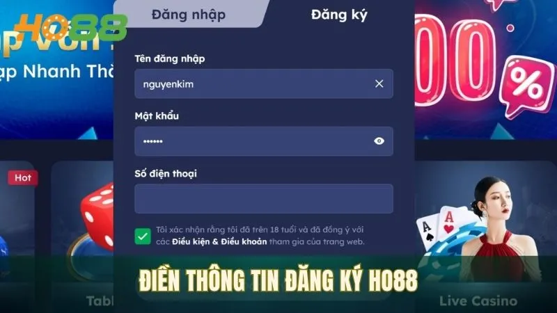 Điền đầy đủ thông tin vào biểu mẫu đăng ký Ho88