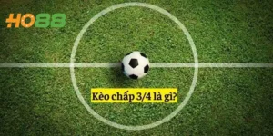 Kèo Chấp 0.75 Là Như Thế Nào? Bí Kíp Soi Kèo Cực Hiệu Quả 