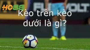 Kèo Trên Kèo Dưới Là Gì? Kinh Nghiệm Bắt Kèo Chuẩn Xác Nhất