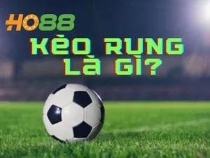 Kèo Rung Là Gì? Bí Kíp Cược Kèo Rung Thành Công Từ Cao Thủ