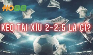 Kèo Tài Xỉu 2-2.5 Là Gì? Kinh Nghiệm Cược Kèo O/U 2.25