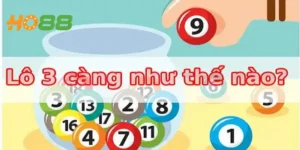 Lô 3 Càng Là Gì? Lý Do Nên Chơi Lô 3 Càng Tại Ho88 Hôm Nay