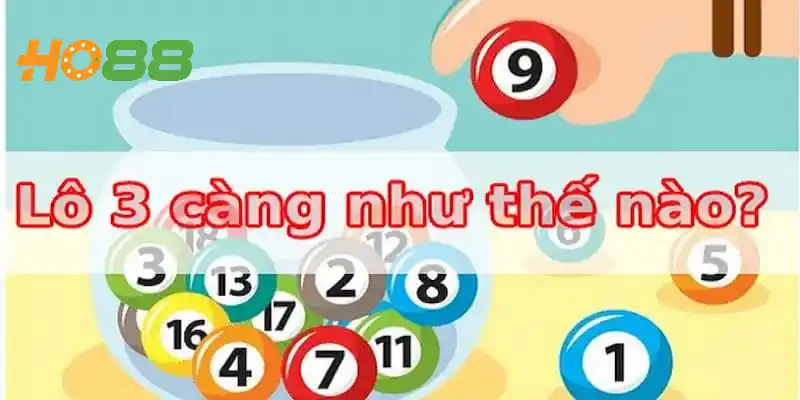 Lô 3 Càng Là Gì? Lý Do Nên Chơi Lô 3 Càng Tại Ho88 Hôm Nay