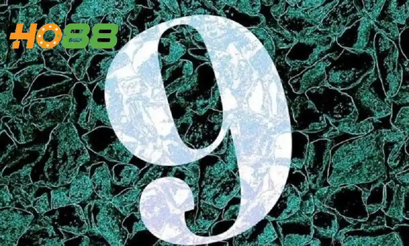 Số 9 có ý nghĩa gì khi kết hợp cùng các số khác