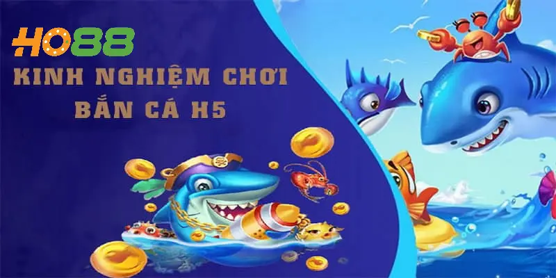 Kinh nghiệm chơi bắn cá H5 đổi thưởng lãi đậm