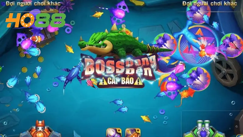 Mẹo chơi Săn Cá Rùa Xanh - căn thời gian rùa xuất hiện