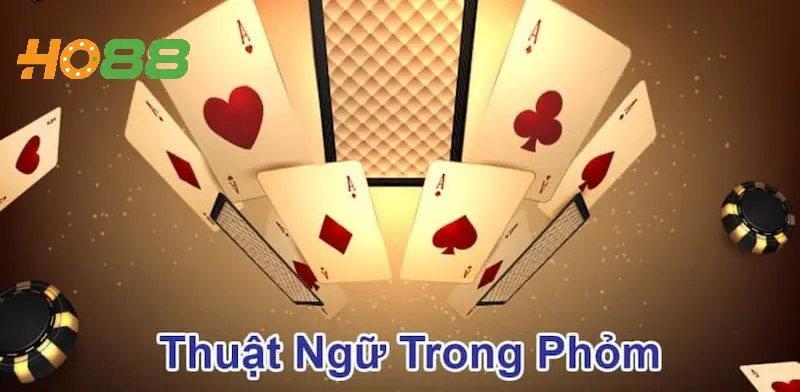 Thuật ngữ cần nắm được khi đánh phỏm Ho88