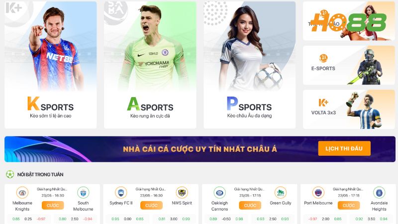 Anh em có thể thỏa mãn đam mê đoán tỷ số đa dạng môn sports trên nền tảng